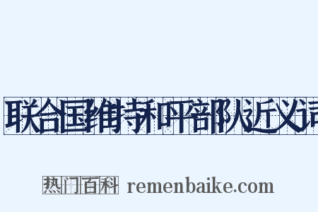 联合国维持和平部队近义词是什么意思的图片